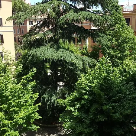 A Casa Di Lia A Roma
