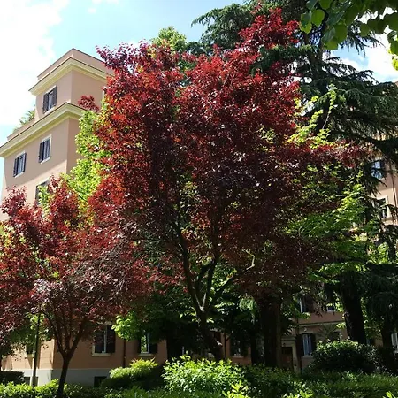 Bed & Breakfast Bed & Breakfast A Casa Di Lia A Roma 2*